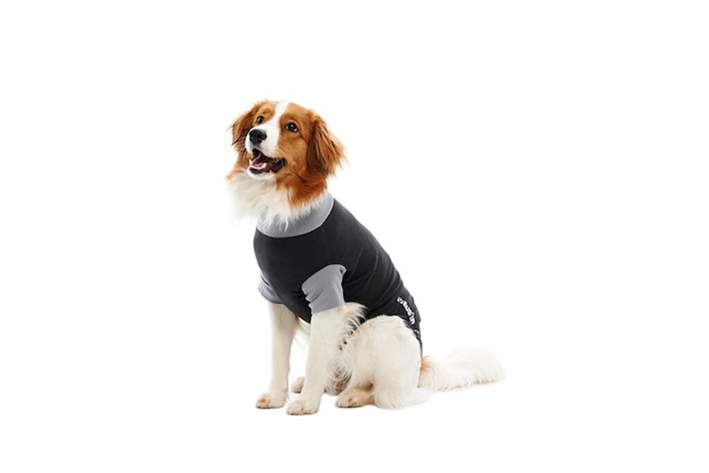 Sitemapcdatahttpsshopinf Inetcomcomment Faire Un Body Pour Chien Avec Un Tee Shirtnull